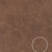 Screenshot-2024-12-17-at-1.01.52 PM.png